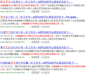 企業(yè)網(wǎng)絡(luò)營(yíng)銷與品牌推廣的全方位策劃方案
